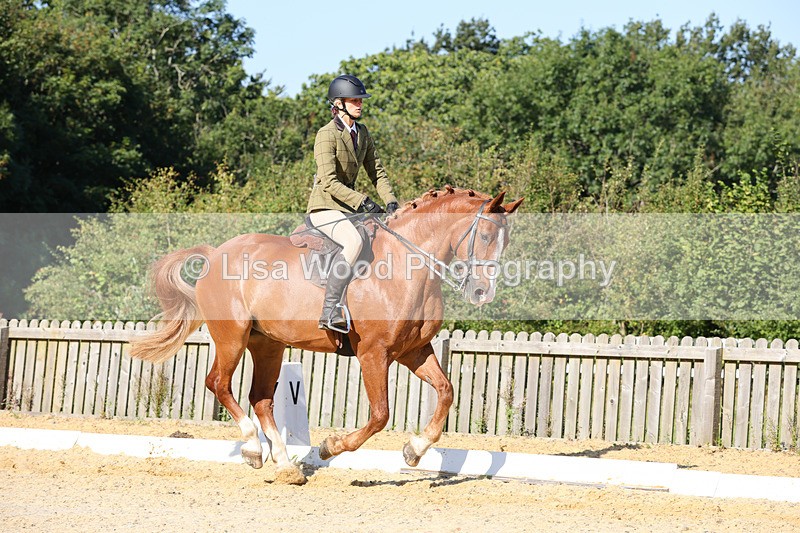 1X9A7749 - Class 9: Open Ridden Hunter