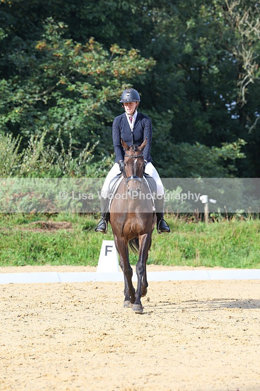 3E7A2128 - Class 1: Intro 4 2024 section A