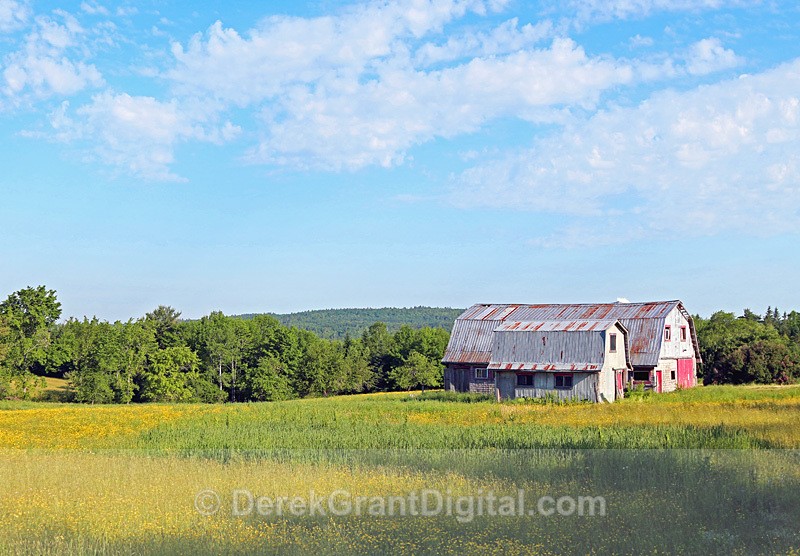Hay & Cattle Barn in Rural New Brunswick Canada