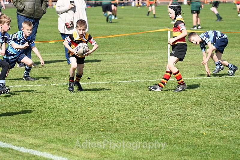  - Selby Rugby Festival 2025