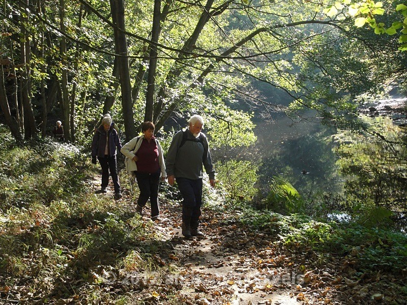 040 From deep shadows into light passing through te Gorge. - Third Saturday Walks Collection Two.
