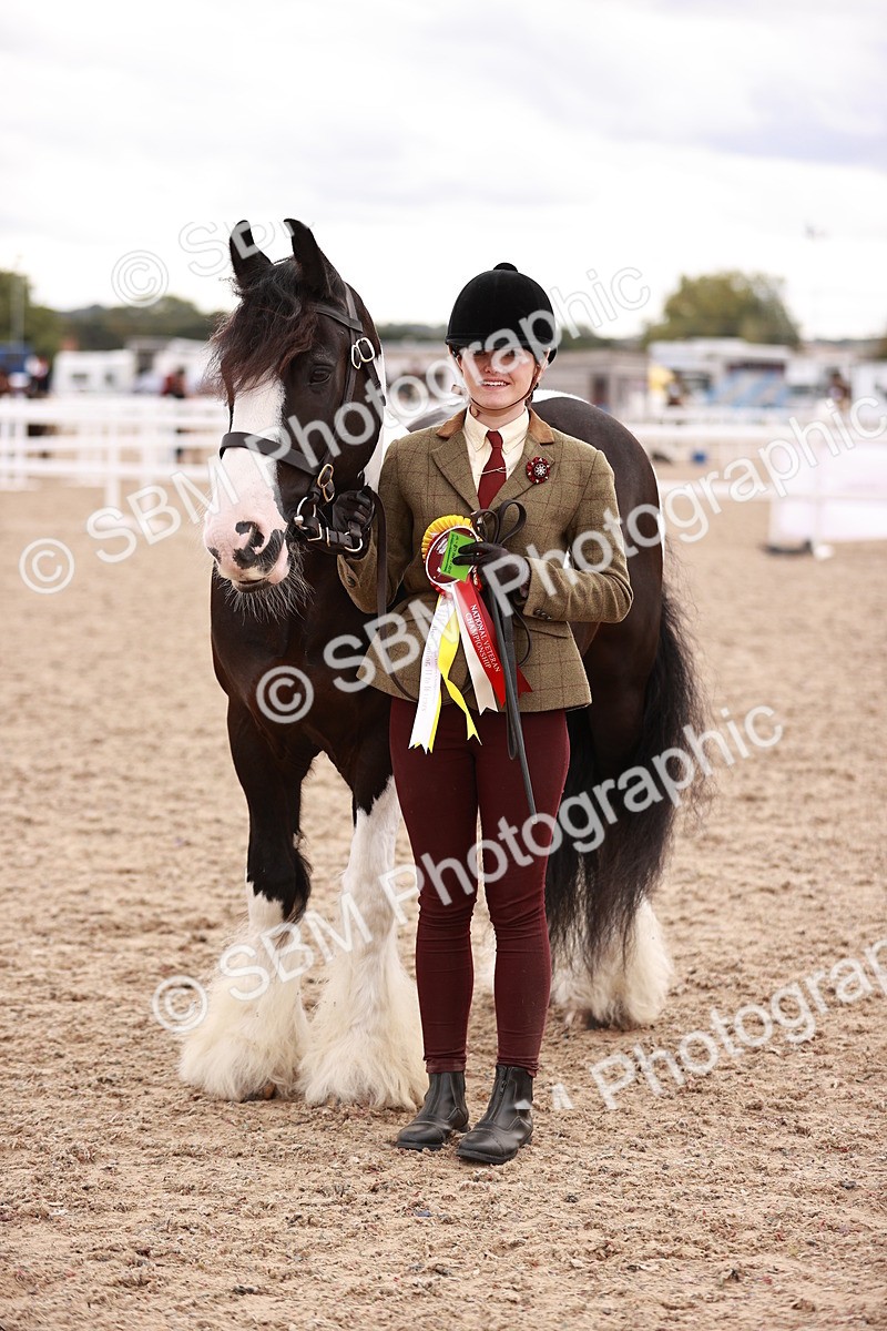 SBM_18506 - Class 420 - Ridden M&M