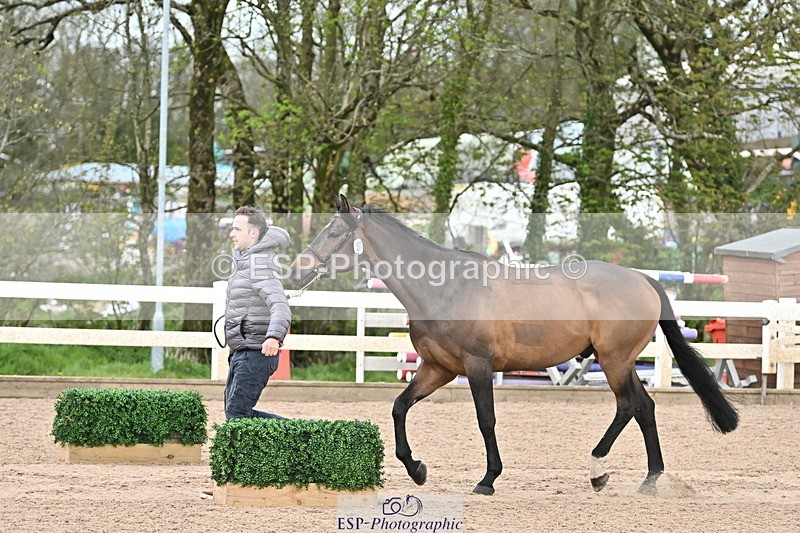 240417A-121955-00093 - 12pm to 1pm