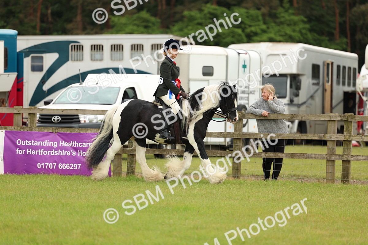 SBM_06363 - Class 39-41 TGCA In Hand and Ridden