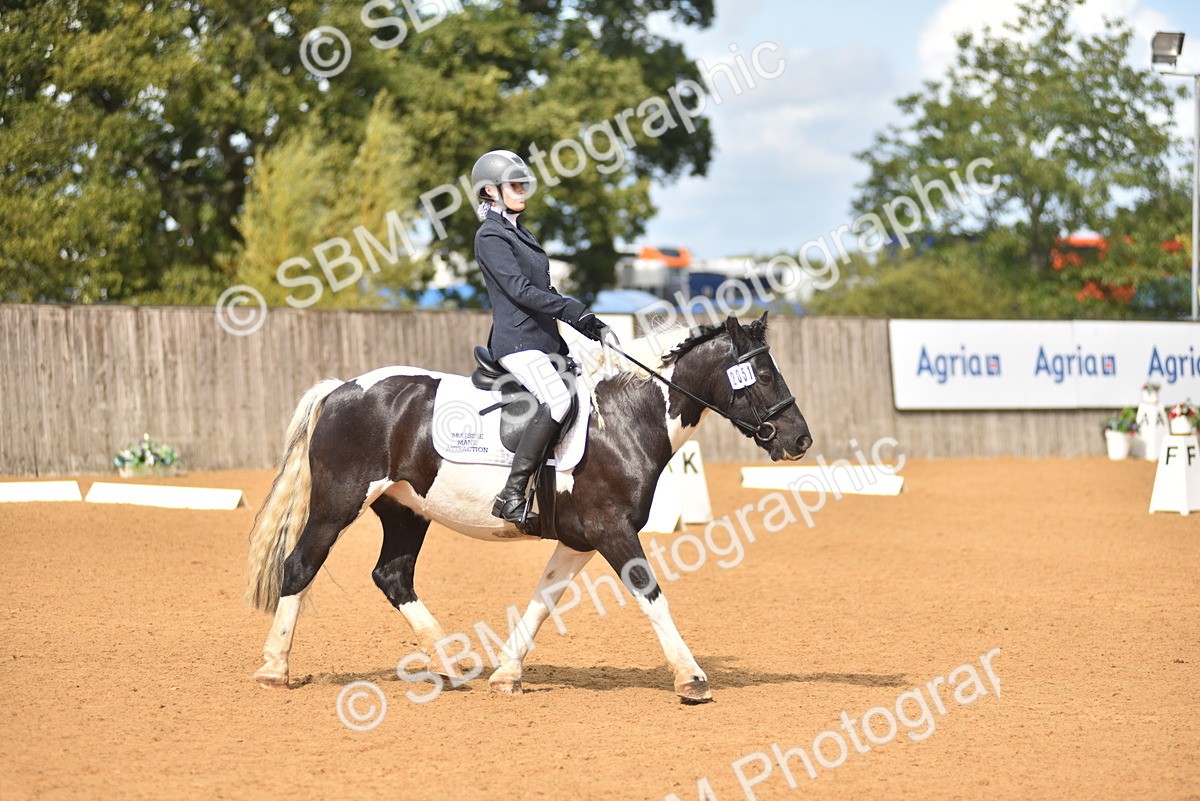 SBM_19927 - D4 - Small Tour Championship Intro 4