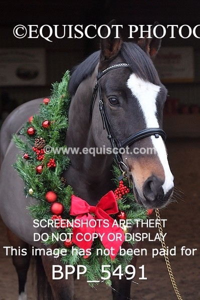 BPP_5491 - Morag Johnston