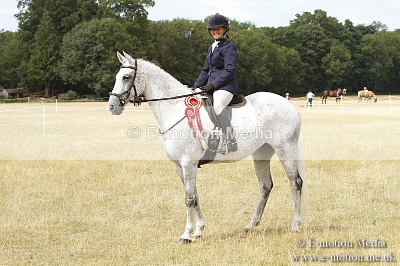 _BS_1026 - Working Hunter Championship BVRC Show 2018