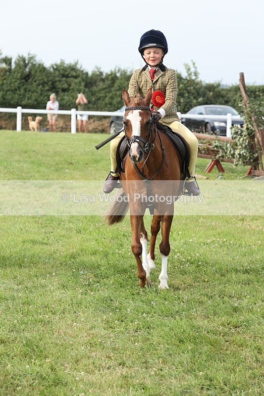 JPP_4794 - Working Hunter Championship
