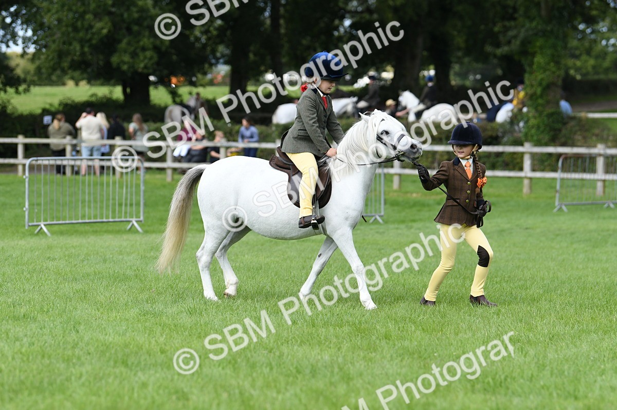 SBM_46816 - S12 - Family Horse & Pony