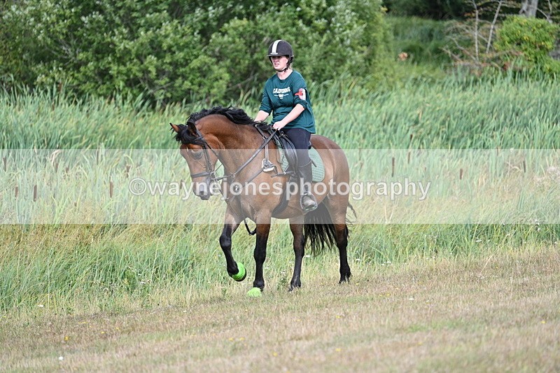 WJ7_4867 - Time 11:17 to 11:22