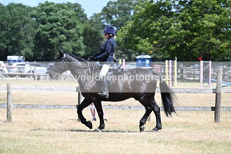 WJ7_2789 - Class 7 Riding Club Show Horse