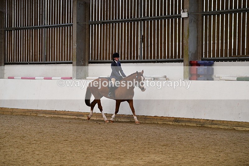 WJ5_7705 - Class 13 Ridden Part Breed