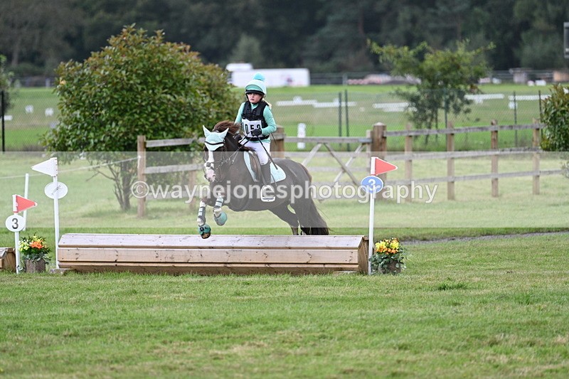 WJ7_8367 - 60cm Time 12:11 to 12:30