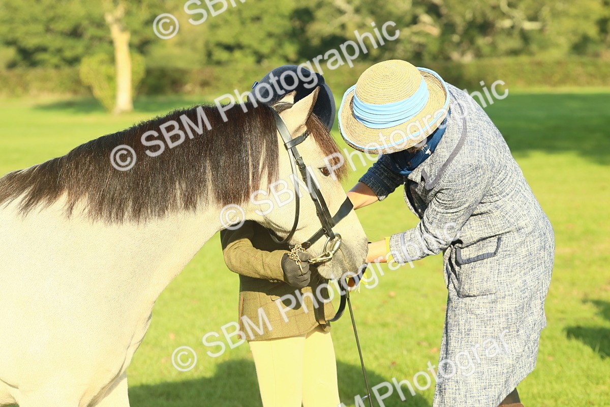 SBM_58460 - S37 - Starters In Hand Showing