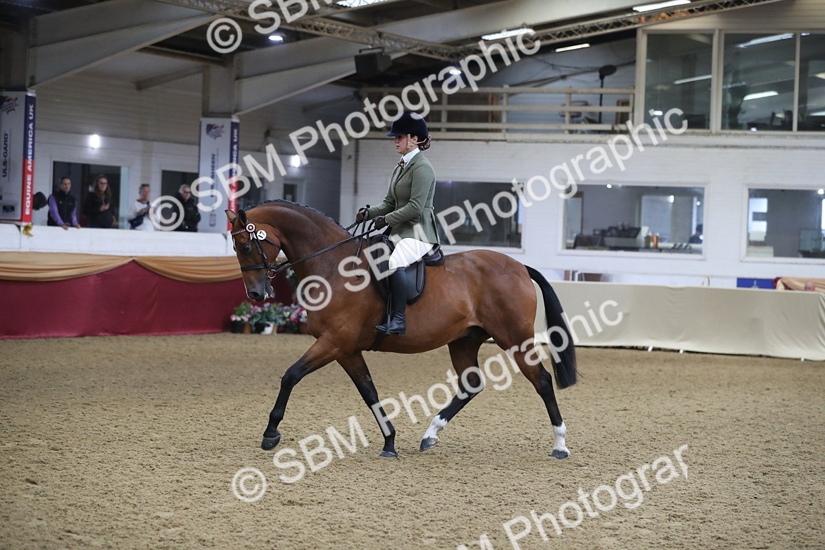 SBM_10418 - Class 102 Equitation (best rider) Adult