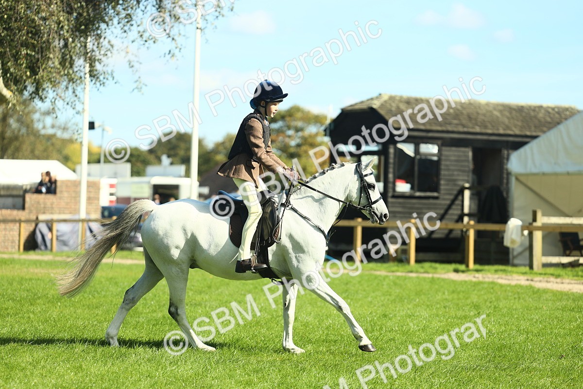SBM_39197 - S29 - Novice & Newcomers Working Hunter Pony
