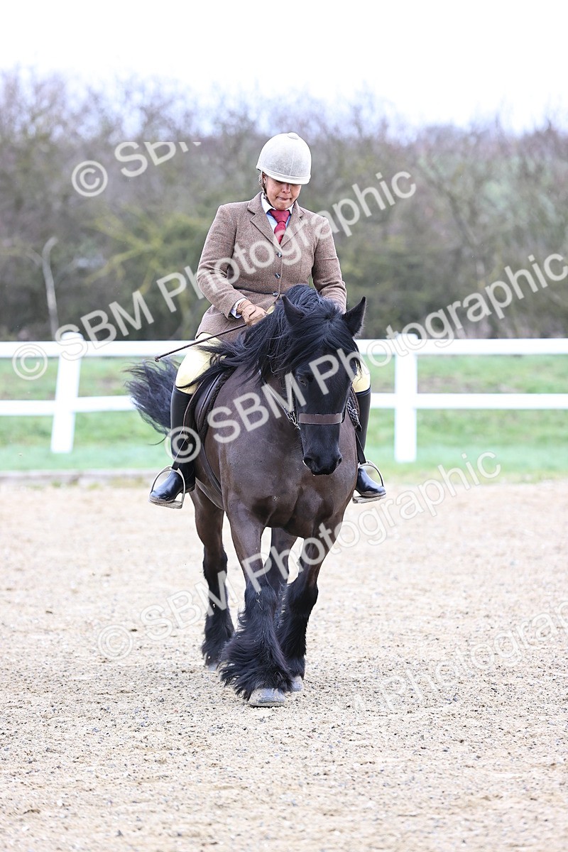 SBM_006983 - Class 29 - 30 - M&M Pure Novice Small-Large Breeds