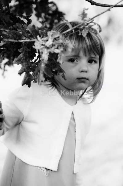  - Weddings
