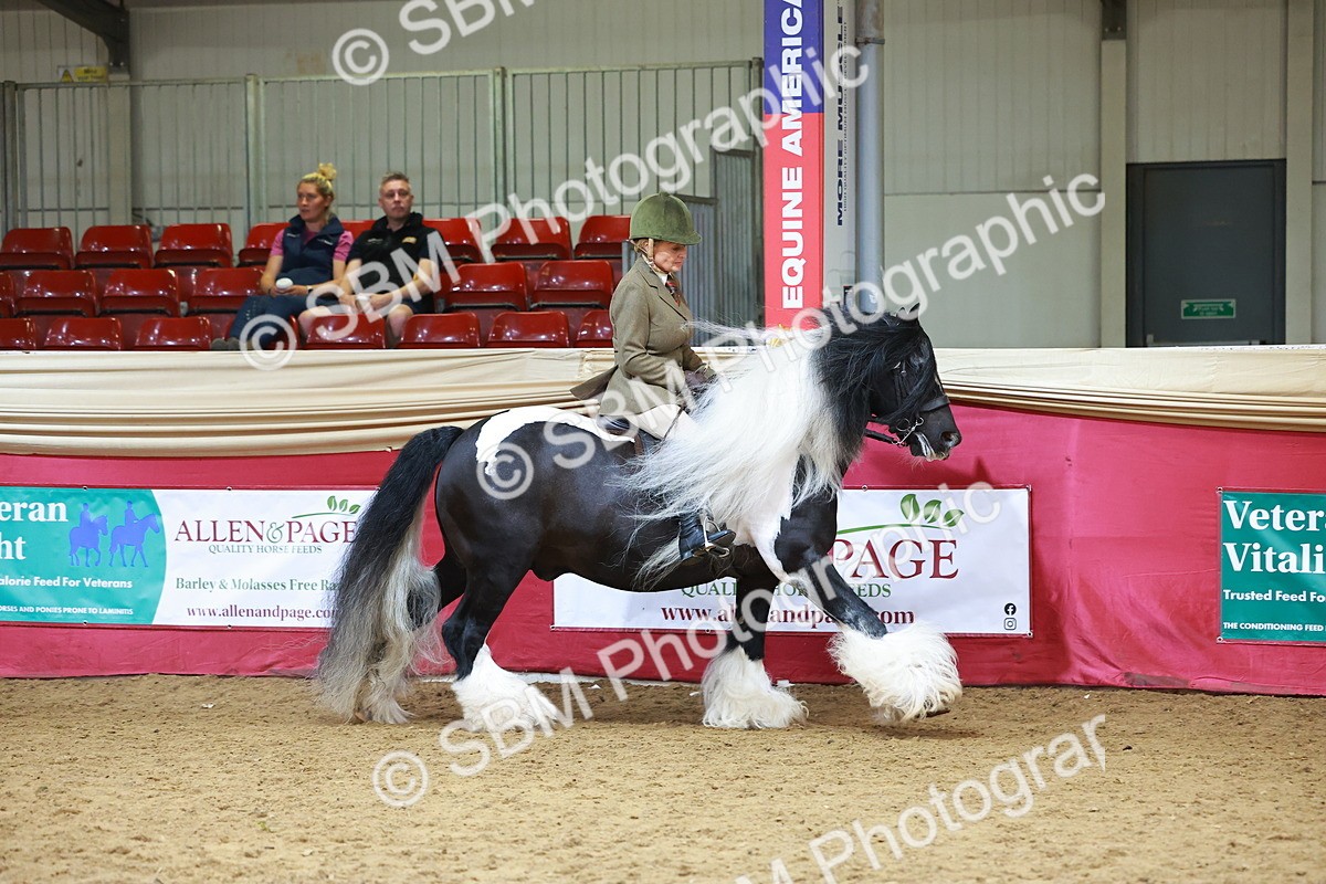 SBM_06187 - Class 12R - Ridden Pre-Vet