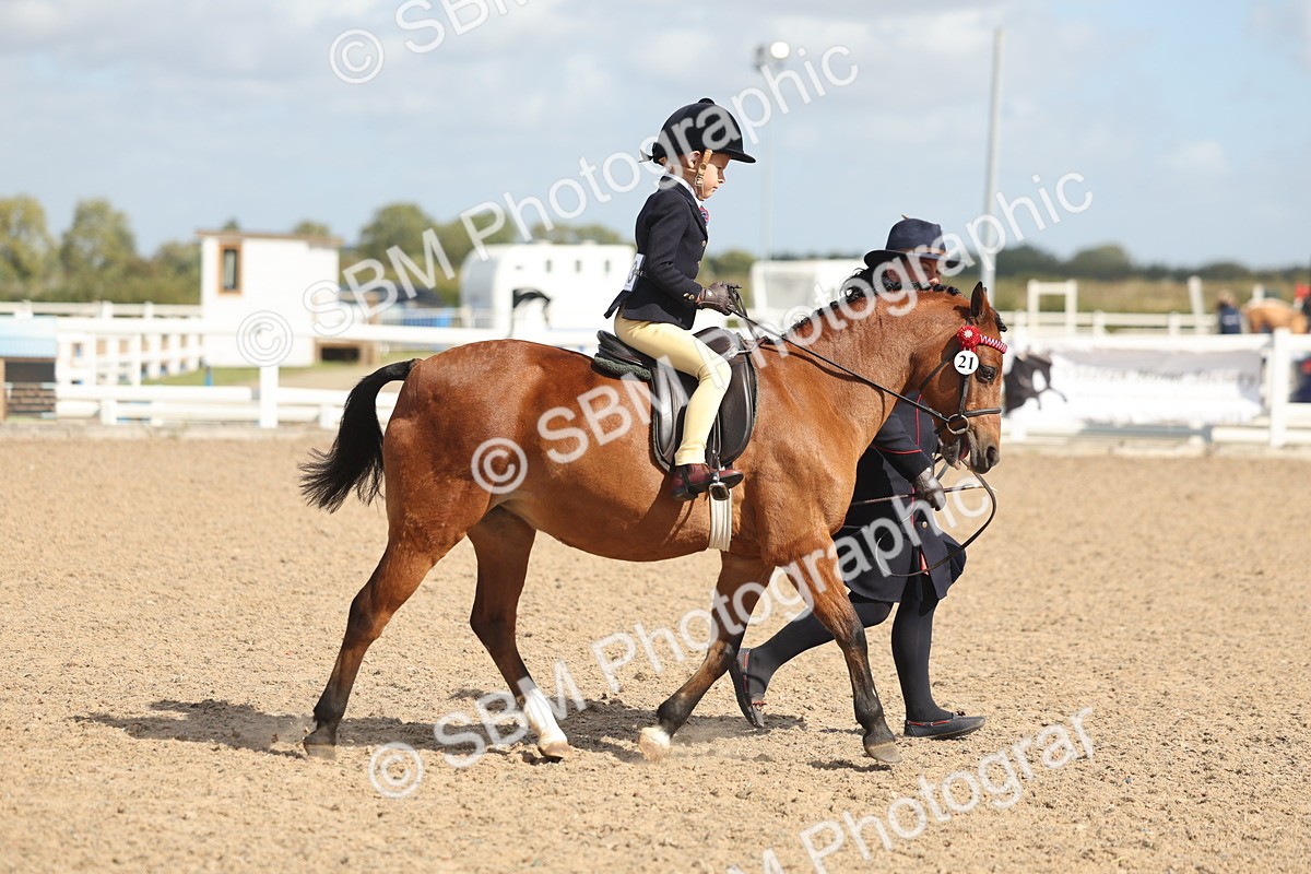 SBM_23142 - Class 806 - Young Rider 10ry and Under