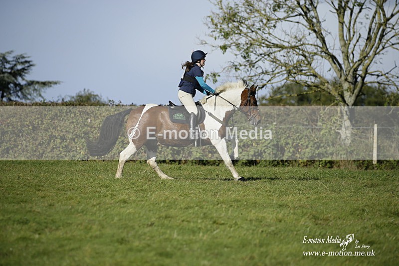  WWHT 031021 1229 - Open Novice (0.80m) 03/10/21