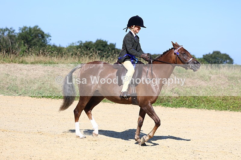 3E7A7983 - Class 14: Tack and Turnout