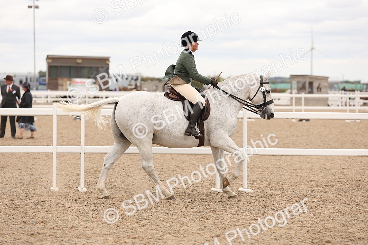 SBM_19539 - Class 215 - Ridden Show cob
