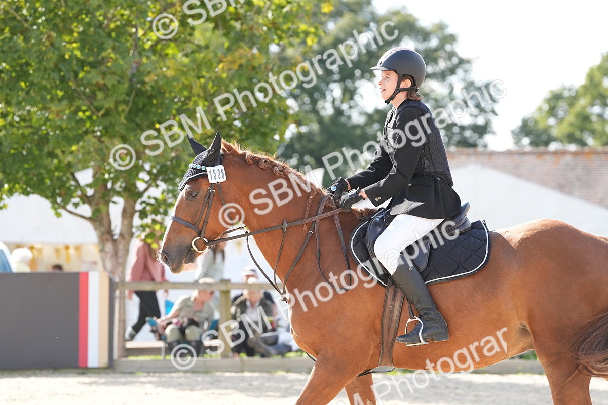 SBM_48573 - J22 - Junior Horse 65cm Championship