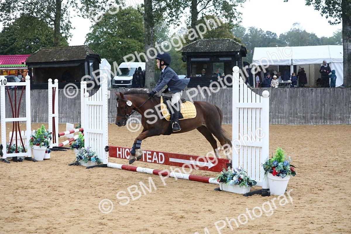 SBM_71504 - J4 - Mini Tour Junior Pony 45cm Championship