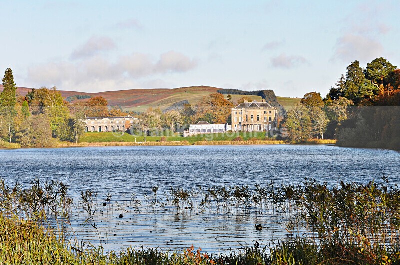11 - Autumn around Selkirk