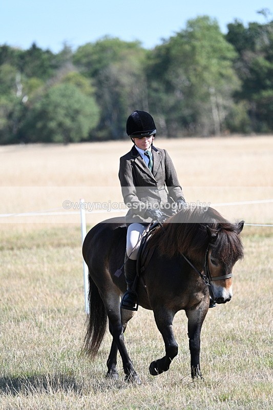 WJ7_3092 - Class 8 Ridden Tack & Turnout