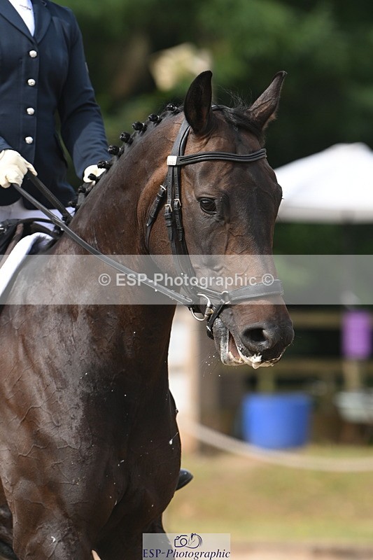 250719A-101309-03301 - 049-Veronica.Roberts-For.J'Adore