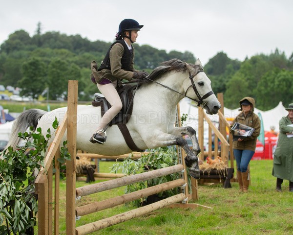 Dunblane show-435 - Dunblane and Doune Show Ring 1