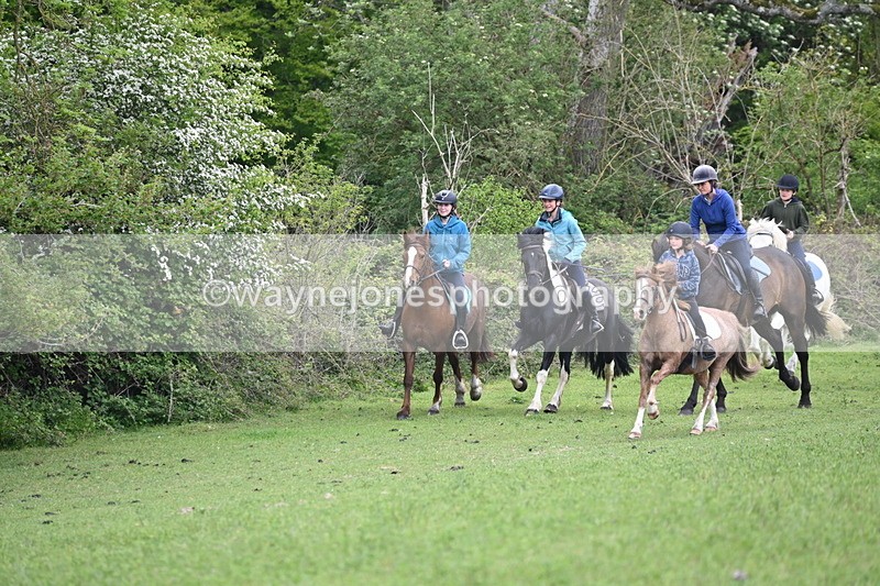 WJ6_2942 - A Camera