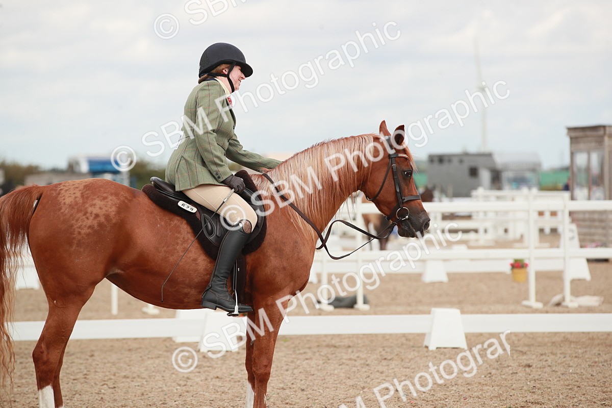 SBM_06012 - Class 32 - Novice 1