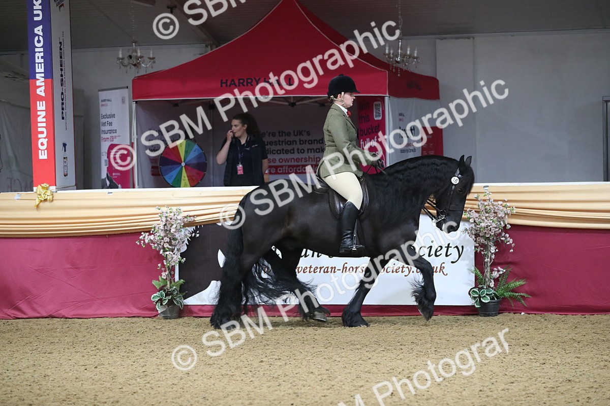 SBM_10350 - Class 102 Equitation (best rider) Adult