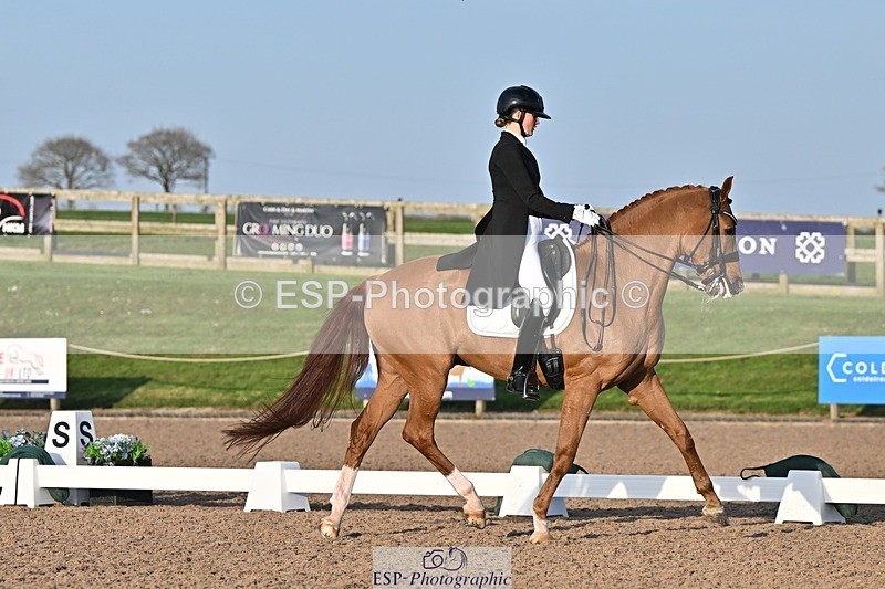 250404-183034-08685 - 150-Nathalie.Wahlund-Cerano.Gold