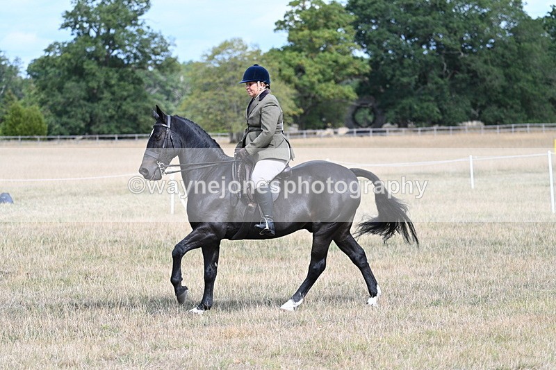 WJ7_6145 - Class 13 Ridden Veterans