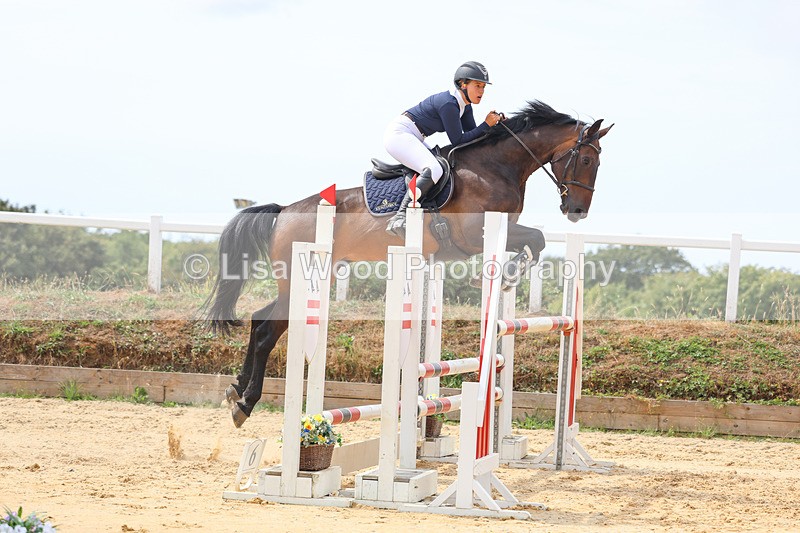 3E7A4381 - Class 8: Senior Foxhunter/1.20 open