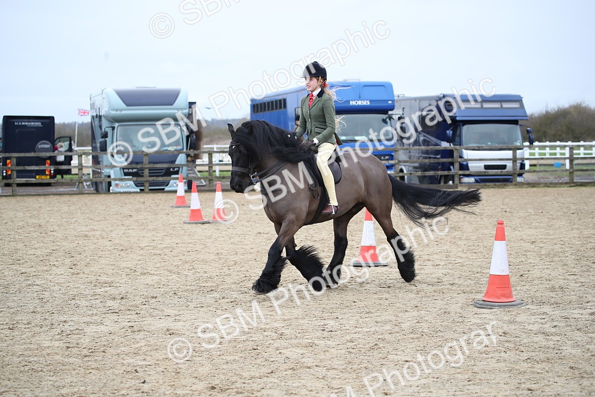 SBM_006127 - Class 10-13 - RIHS Small Large Breeds