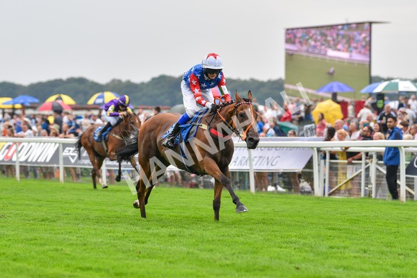 100923-Pony Race 1-Seal The Deal-1550 - Pony Race 1 12.25 The Dragon (TV and Film) Studios Pony Race 148cm & Under