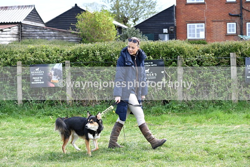 WJ5_0726 - Best in Show Championship