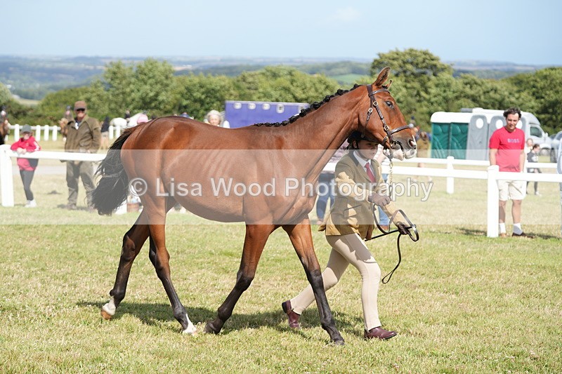 DSC07639 - Class 62: Child Handler