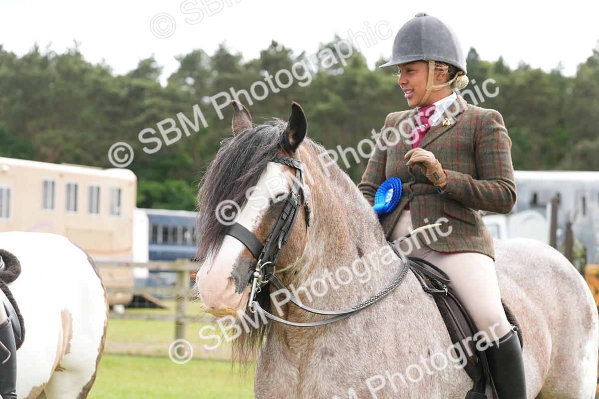 SBM_17344 - Class 107-108 - LIHS BSPS Performance Coloured Horse Pony