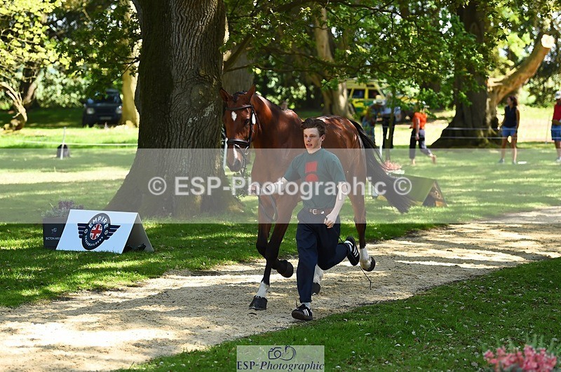 230524-151800-00189 - 318-JUST_HAVE_FAITH_TN-Alfie_Marshall-WEDTrotUp+DR