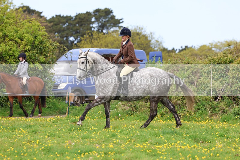 3E7A1286 - Class 7: Ridden Hunter Type