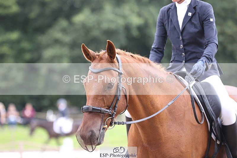 230812-094034-02999 - Cls 5 Novice Bronze Start to 10.55 break