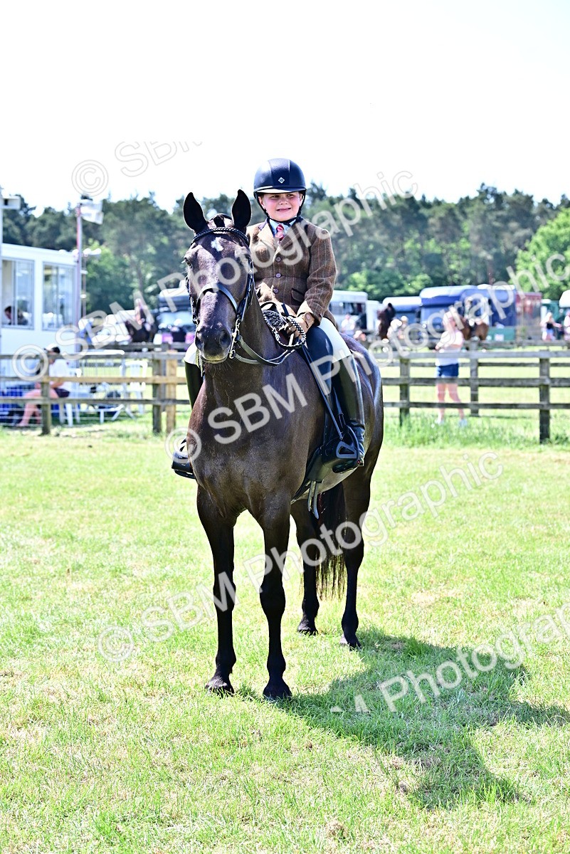 SBM_15314 - Class 95-97 - BSPS LHS Performance Ponies
