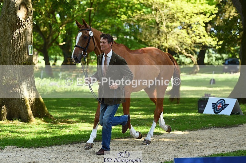 230524-154710-00499 - 370-DUKE_LEGACY-William_Fox-Pitt-WEDTrotUp+DR