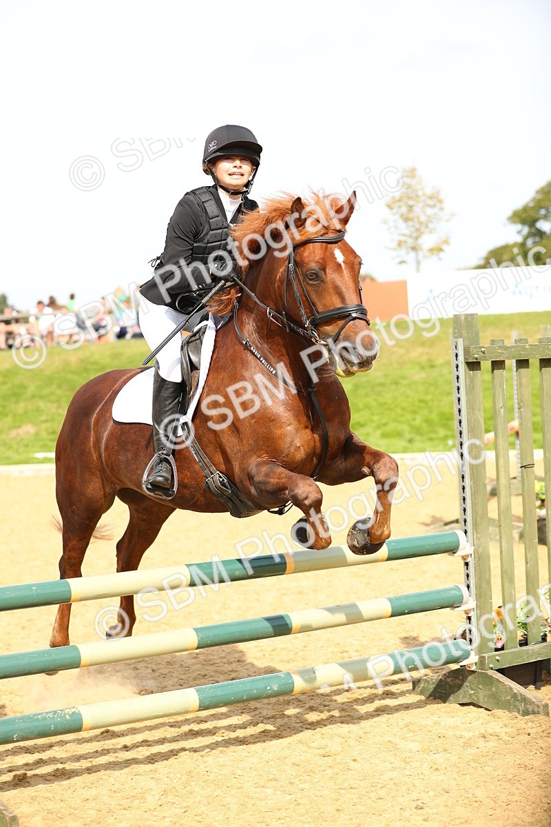 SBM_66222 - J17 - Junior Pony 80cm Championship